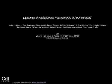 Dynamics of Hippocampal Neurogenesis in Adult Humans