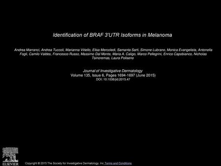 Identification of BRAF 3′UTR Isoforms in Melanoma