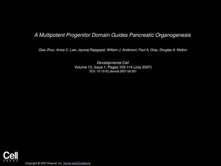 A Multipotent Progenitor Domain Guides Pancreatic Organogenesis