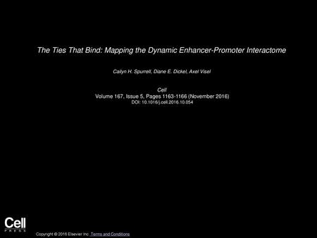 The Ties That Bind: Mapping the Dynamic Enhancer-Promoter Interactome