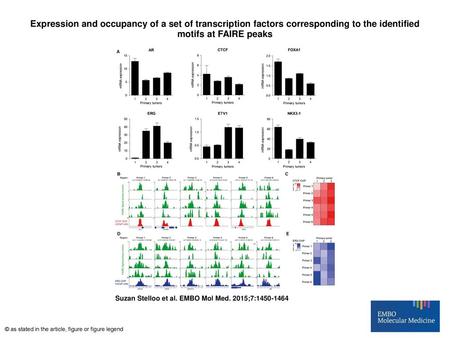 Expression and occupancy of a set of transcription factors corresponding to the identified motifs at FAIRE peaks Expression and occupancy of a set of transcription.