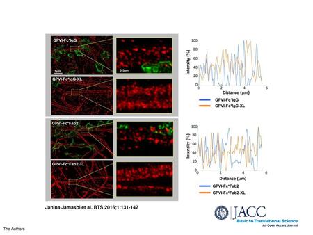 Janina Jamasbi et al. BTS 2016;1: