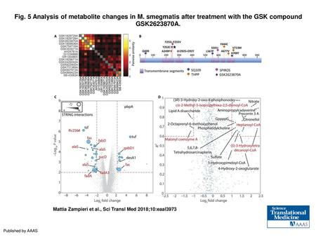 Fig. 5 Analysis of metabolite changes in M