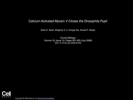 Calcium-Activated Myosin V Closes the Drosophila Pupil