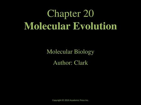 Chapter 20 Molecular Evolution