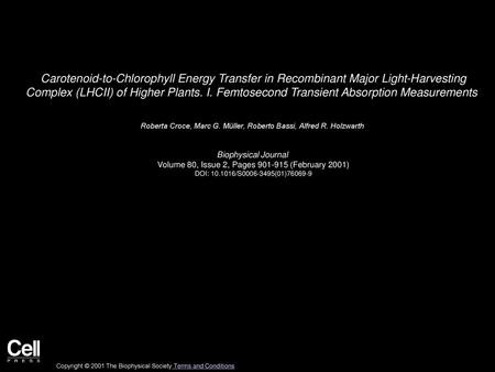 Carotenoid-to-Chlorophyll Energy Transfer in Recombinant Major Light-Harvesting Complex (LHCII) of Higher Plants. I. Femtosecond Transient Absorption.