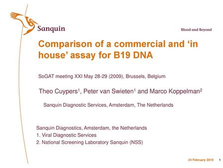 Comparison of a commercial and ‘in house’ assay for B19 DNA