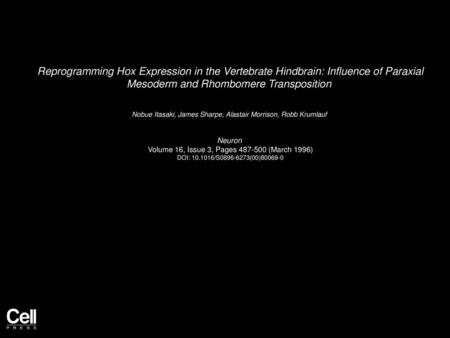 Reprogramming Hox Expression in the Vertebrate Hindbrain: Influence of Paraxial Mesoderm and Rhombomere Transposition  Nobue Itasaki, James Sharpe, Alastair.