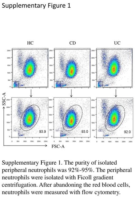 Supplementary Figure 1 FSC-A SSC-A HC UC CD