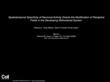 Spatiotemporal Specificity of Neuronal Activity Directs the Modification of Receptive Fields in the Developing Retinotectal System  Rebecca L. Vislay-Meltzer,