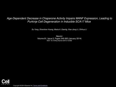 Age-Dependent Decrease in Chaperone Activity Impairs MANF Expression, Leading to Purkinje Cell Degeneration in Inducible SCA17 Mice  Su Yang, Shanshan.