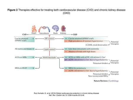 Nat. Rev. Cardiol. doi: /nrcardio