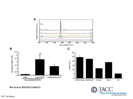 Effects of Lp(a) on Inorganic Mineralization in HAVICs (A) Representative Raman spectra. Noncalcified HAVICs were incubated in OSM in the absence (a) or.