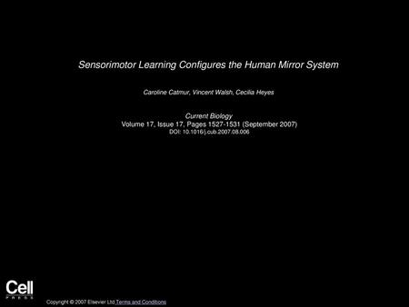 Sensorimotor Learning Configures the Human Mirror System