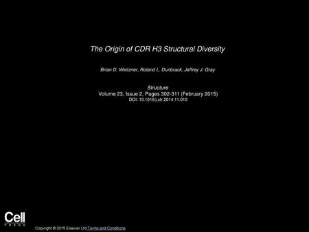 The Origin of CDR H3 Structural Diversity