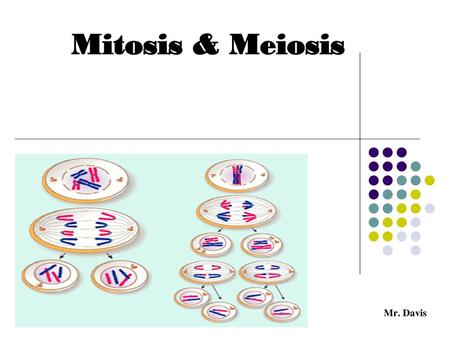 Mitosis & Meiosis Mr. Davis.