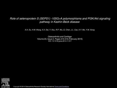 Role of selenoprotein S (SEPS1) -105G>A polymorphisms and PI3K/Akt signaling pathway in Kashin-Beck disease  X.A. Du, H.M. Wang, X.X. Dai, Y. Kou, R.P.