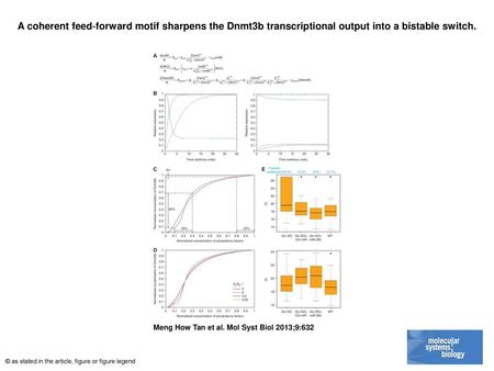 A coherent feed‐forward motif sharpens the Dnmt3b transcriptional output into a bistable switch. A coherent feed‐forward motif sharpens the Dnmt3b transcriptional.