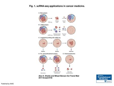 Fig. 1. scRNA-seq applications in cancer medicine.