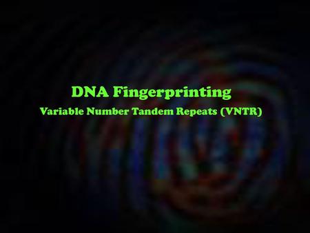 Variable Number Tandem Repeats (VNTR)