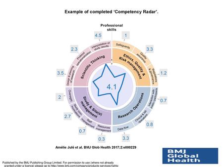 Example of completed ‘Competency Radar’.