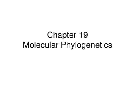 Chapter 19 Molecular Phylogenetics