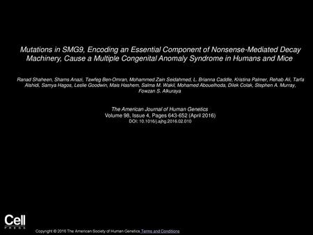 Mutations in SMG9, Encoding an Essential Component of Nonsense-Mediated Decay Machinery, Cause a Multiple Congenital Anomaly Syndrome in Humans and Mice 