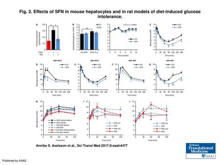 Fig. 2. Effects of SFN in mouse hepatocytes and in rat models of diet-induced glucose intolerance. Effects of SFN in mouse hepatocytes and in rat models.