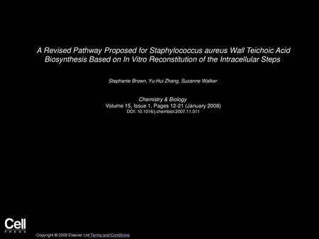 A Revised Pathway Proposed for Staphylococcus aureus Wall Teichoic Acid Biosynthesis Based on In Vitro Reconstitution of the Intracellular Steps  Stephanie.