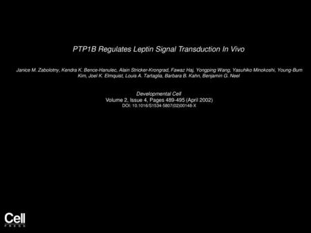 PTP1B Regulates Leptin Signal Transduction In Vivo