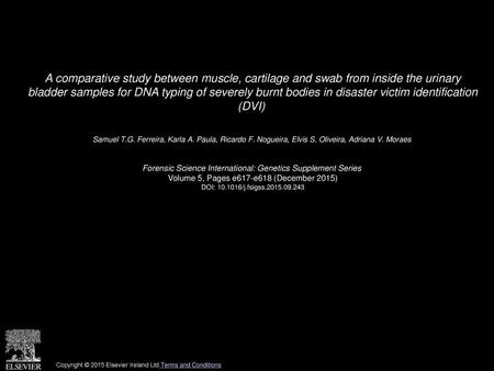 A comparative study between muscle, cartilage and swab from inside the urinary bladder samples for DNA typing of severely burnt bodies in disaster victim.