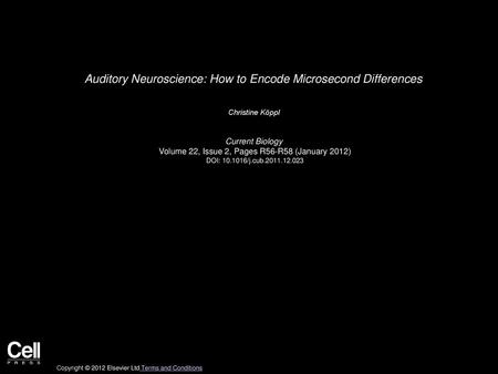 Auditory Neuroscience: How to Encode Microsecond Differences