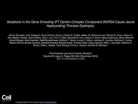 Mutations in the Gene Encoding IFT Dynein Complex Component WDR34 Cause Jeune Asphyxiating Thoracic Dystrophy  Miriam Schmidts, Julia Vodopiutz, Sonia.