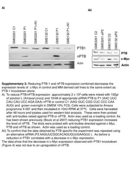 PTB1 nPTB Ai Aii GM03201 P1+N1 GM2132 P1+N1 GM2132 C1 GM2132 P1