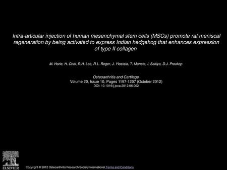 Intra-articular injection of human mesenchymal stem cells (MSCs) promote rat meniscal regeneration by being activated to express Indian hedgehog that.