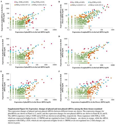 Supplemental Figure S4. Expression changes of phased and non-phased siRNAs among the three tissues examined The expression changes of phased and non-phased.