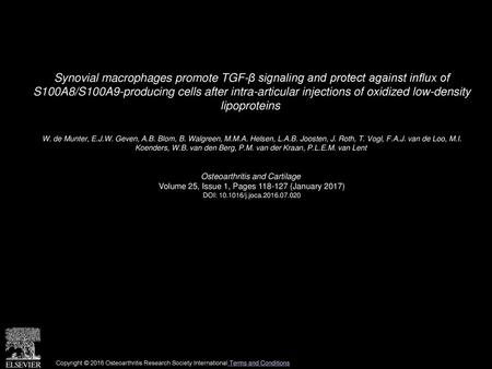 Synovial macrophages promote TGF-β signaling and protect against influx of S100A8/S100A9-producing cells after intra-articular injections of oxidized.