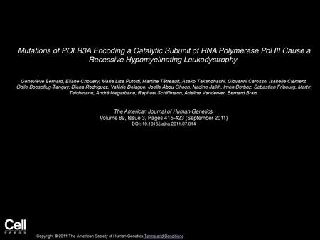 Mutations of POLR3A Encoding a Catalytic Subunit of RNA Polymerase Pol III Cause a Recessive Hypomyelinating Leukodystrophy  Geneviève Bernard, Eliane.