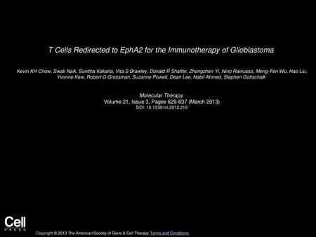 T Cells Redirected to EphA2 for the Immunotherapy of Glioblastoma