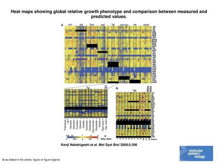 Heat maps showing global relative growth phenotype and comparison between measured and predicted values. Heat maps showing global relative growth phenotype.