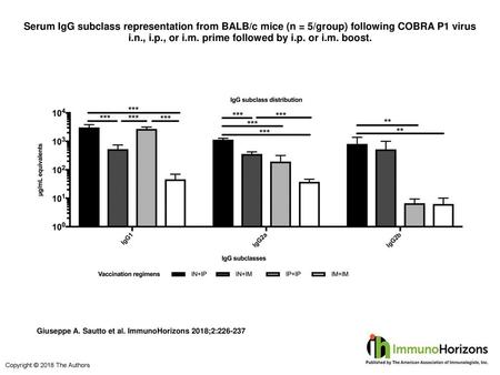 Serum IgG subclass representation from BALB/c mice (n = 5/group) following COBRA P1 virus i.n., i.p., or i.m. prime followed by i.p. or i.m. boost. Serum.