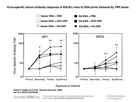 Virus-specific serum antibody response of BALB/c mice to DNA prime followed by VRP boost. Virus-specific serum antibody response of BALB/c mice to DNA.