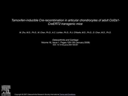 Tamoxifen-inducible Cre-recombination in articular chondrocytes of adult Col2a1- CreERT2 transgenic mice  M. Zhu, M.D., Ph.D., M. Chen, Ph.D., A.C. Lichtler,