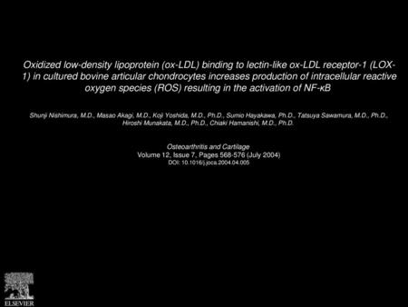 Oxidized low-density lipoprotein (ox-LDL) binding to lectin-like ox-LDL receptor-1 (LOX- 1) in cultured bovine articular chondrocytes increases production.