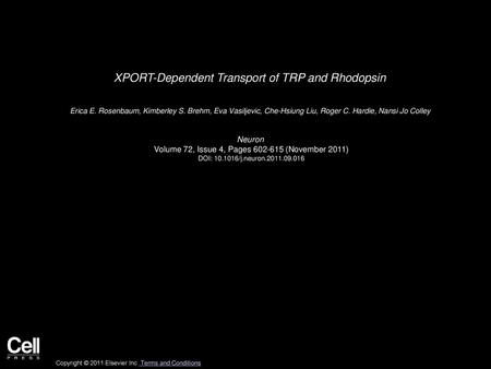 XPORT-Dependent Transport of TRP and Rhodopsin