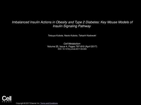 Imbalanced Insulin Actions in Obesity and Type 2 Diabetes: Key Mouse Models of Insulin Signaling Pathway  Tetsuya Kubota, Naoto Kubota, Takashi Kadowaki 