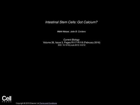 Intestinal Stem Cells: Got Calcium?