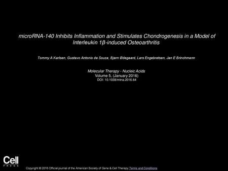 Molecular Therapy - Nucleic Acids