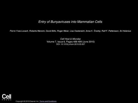 Entry of Bunyaviruses into Mammalian Cells