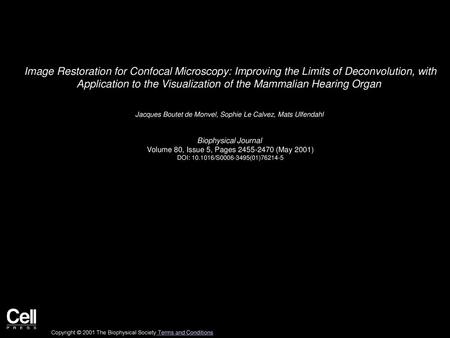 Image Restoration for Confocal Microscopy: Improving the Limits of Deconvolution, with Application to the Visualization of the Mammalian Hearing Organ 